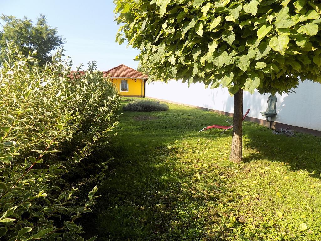 Platán Panzió Acomodação com café da manhã Nyúl Exterior foto